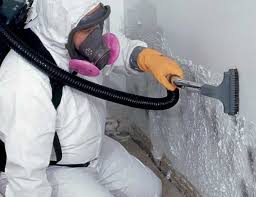 Best Crawl Space Mold Remediation  in Hallsville, MO